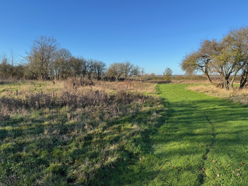Lot: 40887 - ALMOST 4.5 ACRES WITH PLANNING FOR SIXTEEN DWELLINGS SUBJECT TO S106 BEING COMPLETED - General view of the land 2